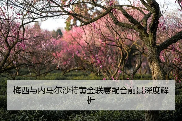 梅西与内马尔沙特黄金联赛配合前景深度解析